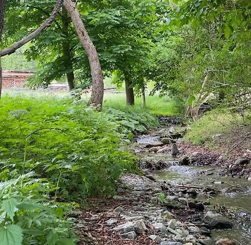 Im Wander- Und Outdoorparadies 公寓 Veitsch