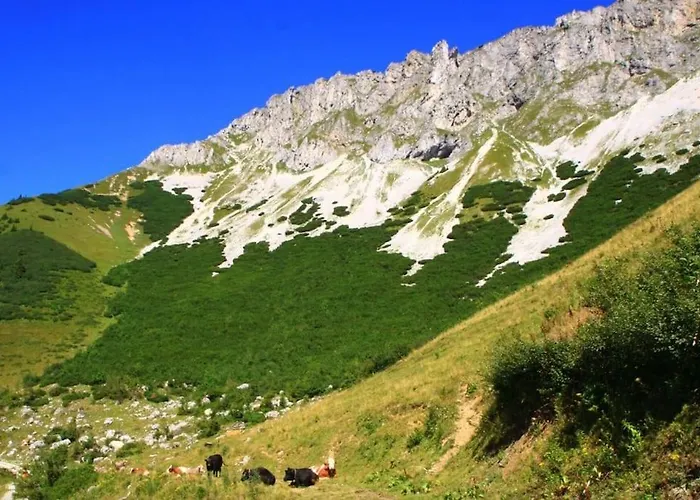 公寓 Im Wander- Und Outdoorparadies Veitsch